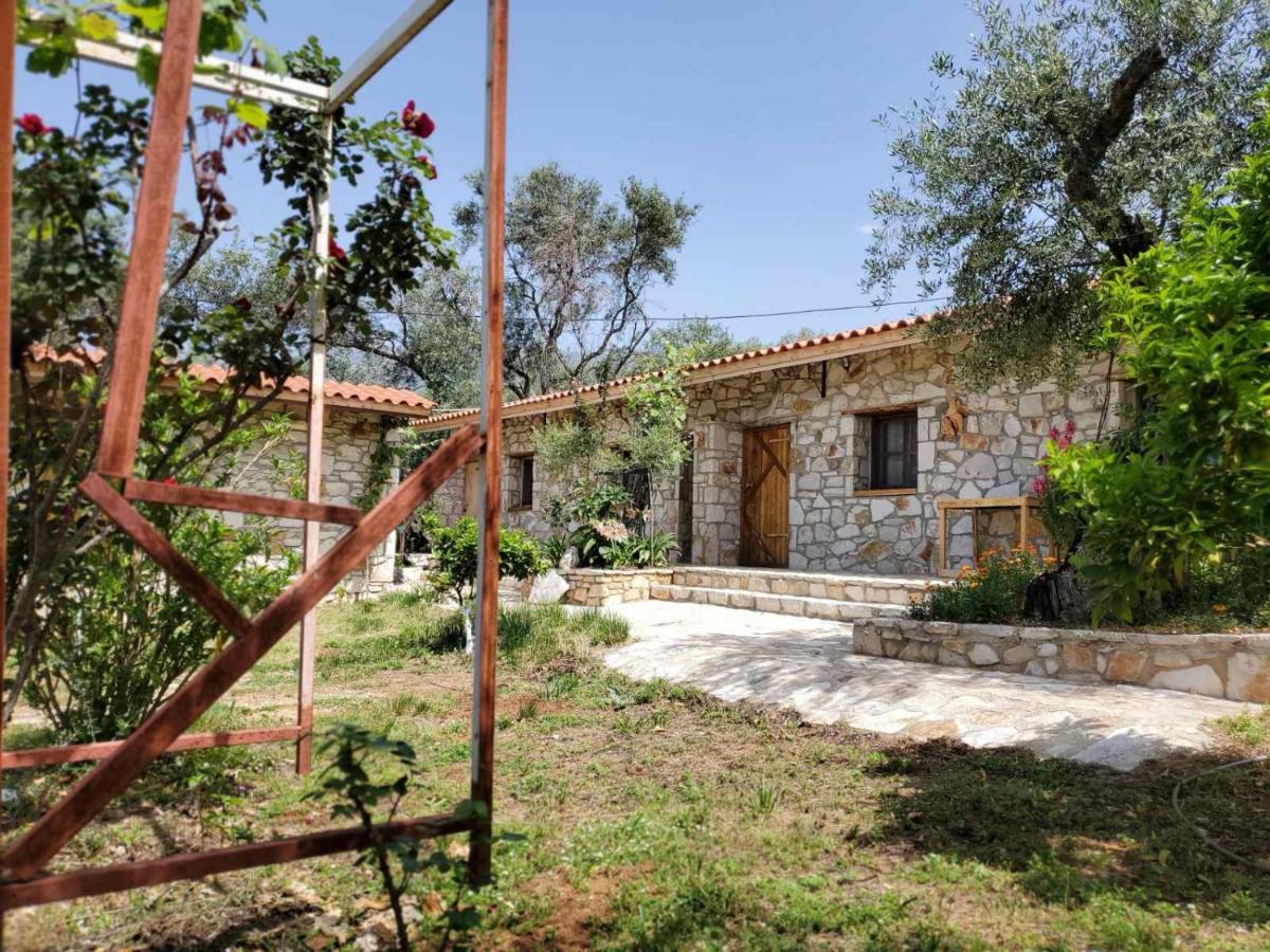 Filoxenia - The Place Of Experience Himare Esterno foto