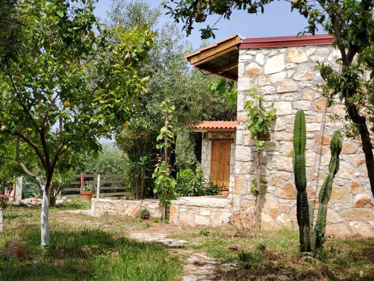 Filoxenia - The Place Of Experience Himare Esterno foto