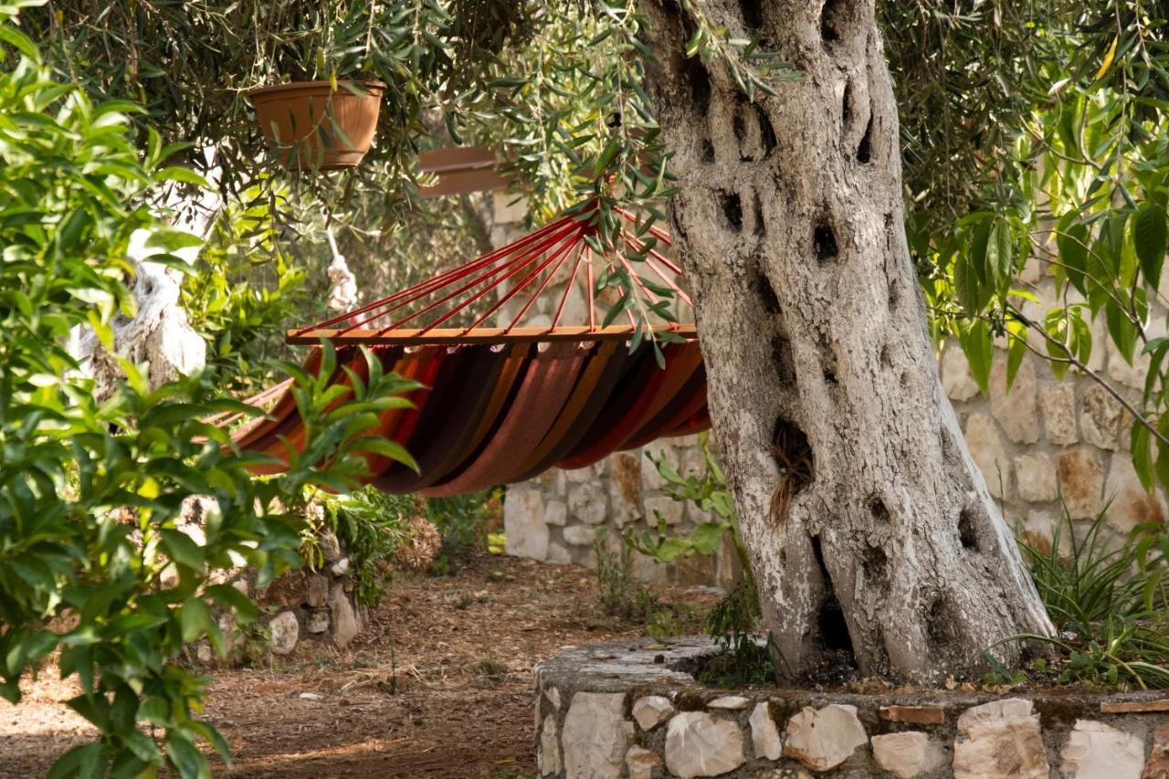 Filoxenia - The Place Of Experience Himare Esterno foto