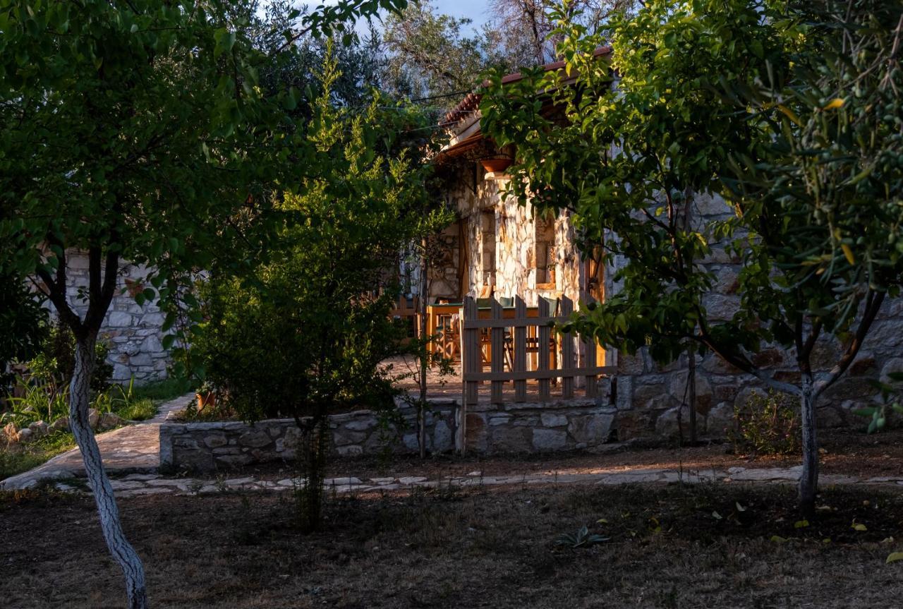 Filoxenia - The Place Of Experience Himare Esterno foto