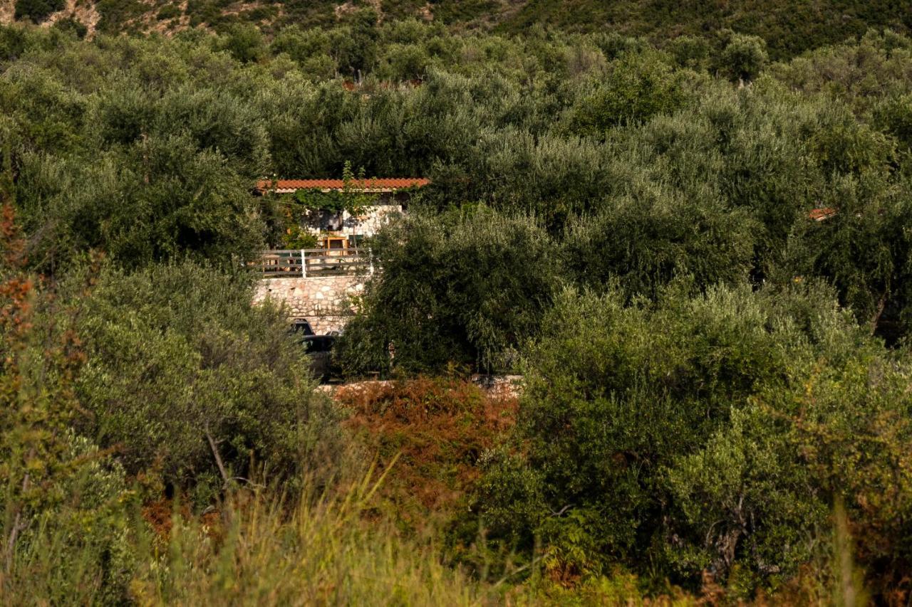 Filoxenia - The Place Of Experience Himare Esterno foto