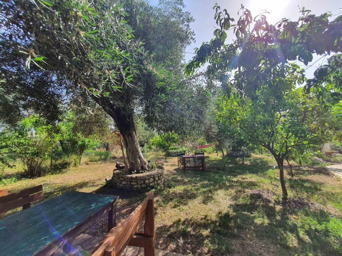 Filoxenia - The Place Of Experience Himare Esterno foto