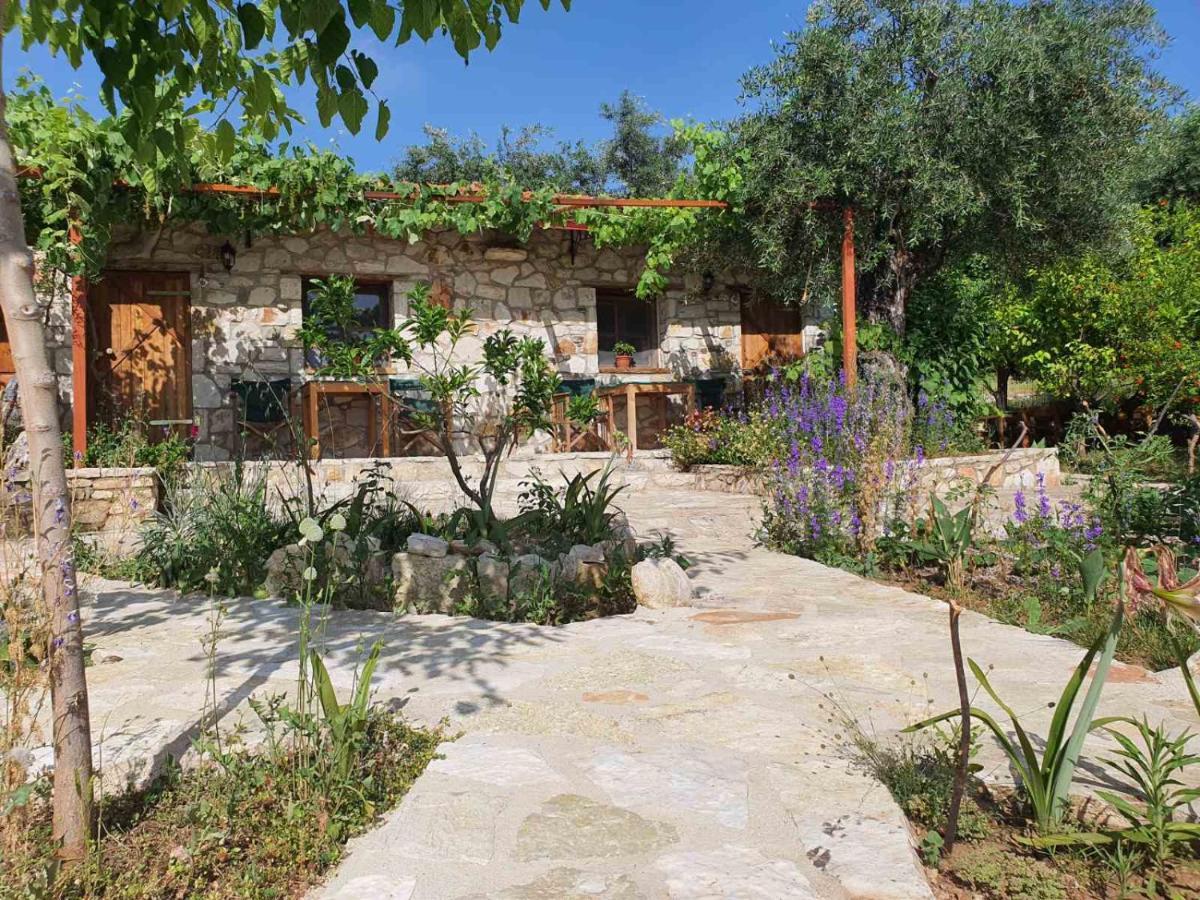 Filoxenia - The Place Of Experience Himare Esterno foto