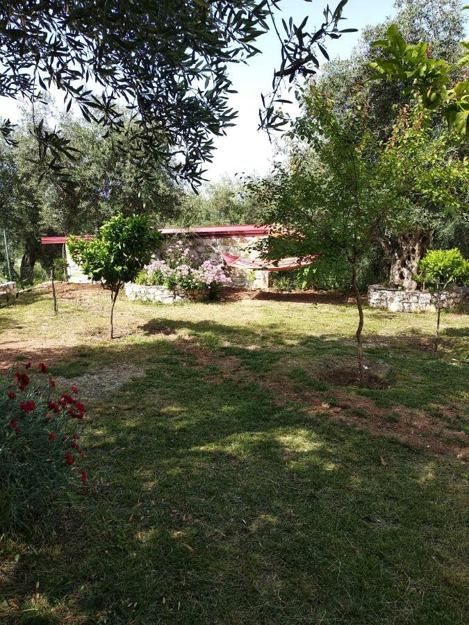 Filoxenia - The Place Of Experience Himare Esterno foto