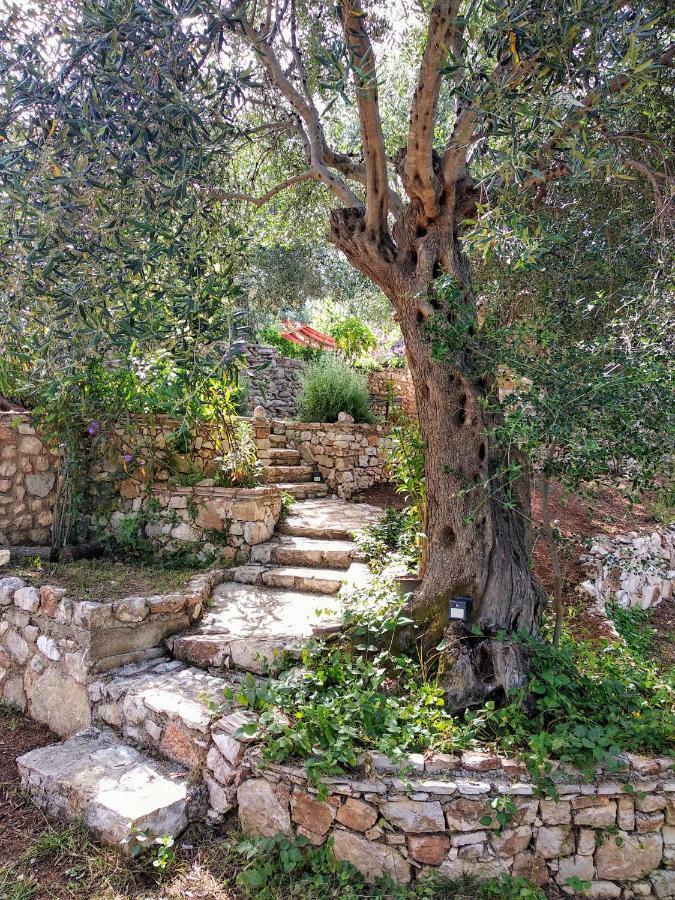 Filoxenia - The Place Of Experience Himare Esterno foto