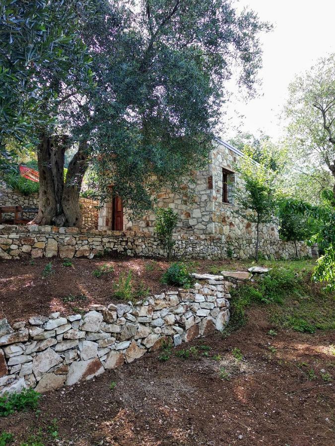 Filoxenia - The Place Of Experience Himare Esterno foto